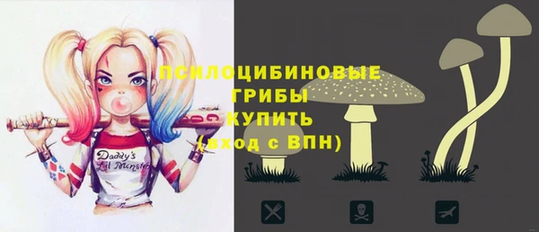 ПСИЛОЦИБИНОВЫЕ ГРИБЫ Магадан