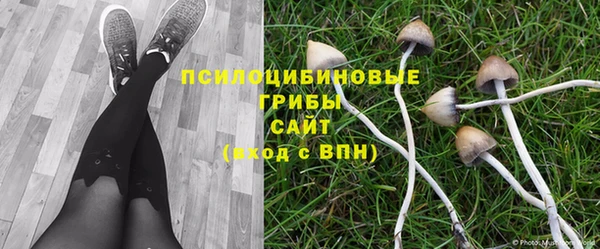 мяу мяу кристалл Магас